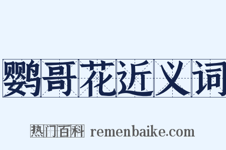 鹦哥花近义词是什么意思的图片